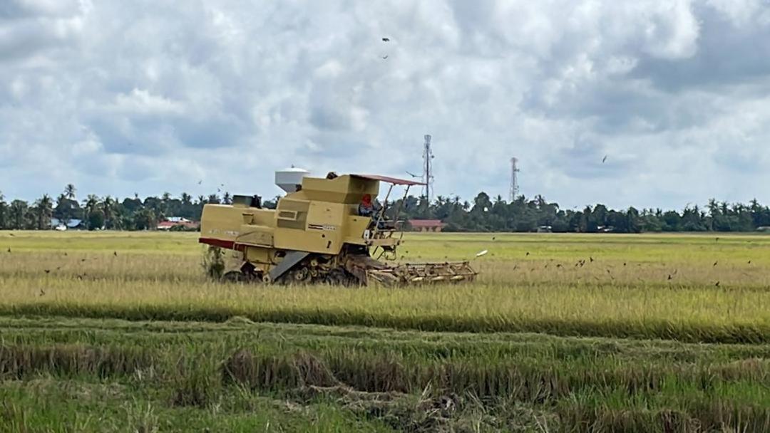 Izz Homestay Sawah Padi Sungai Besar ! Exterior photo