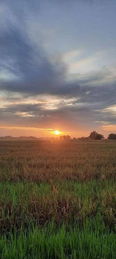 Izz Homestay Sawah Padi Sungai Besar ! Exterior photo