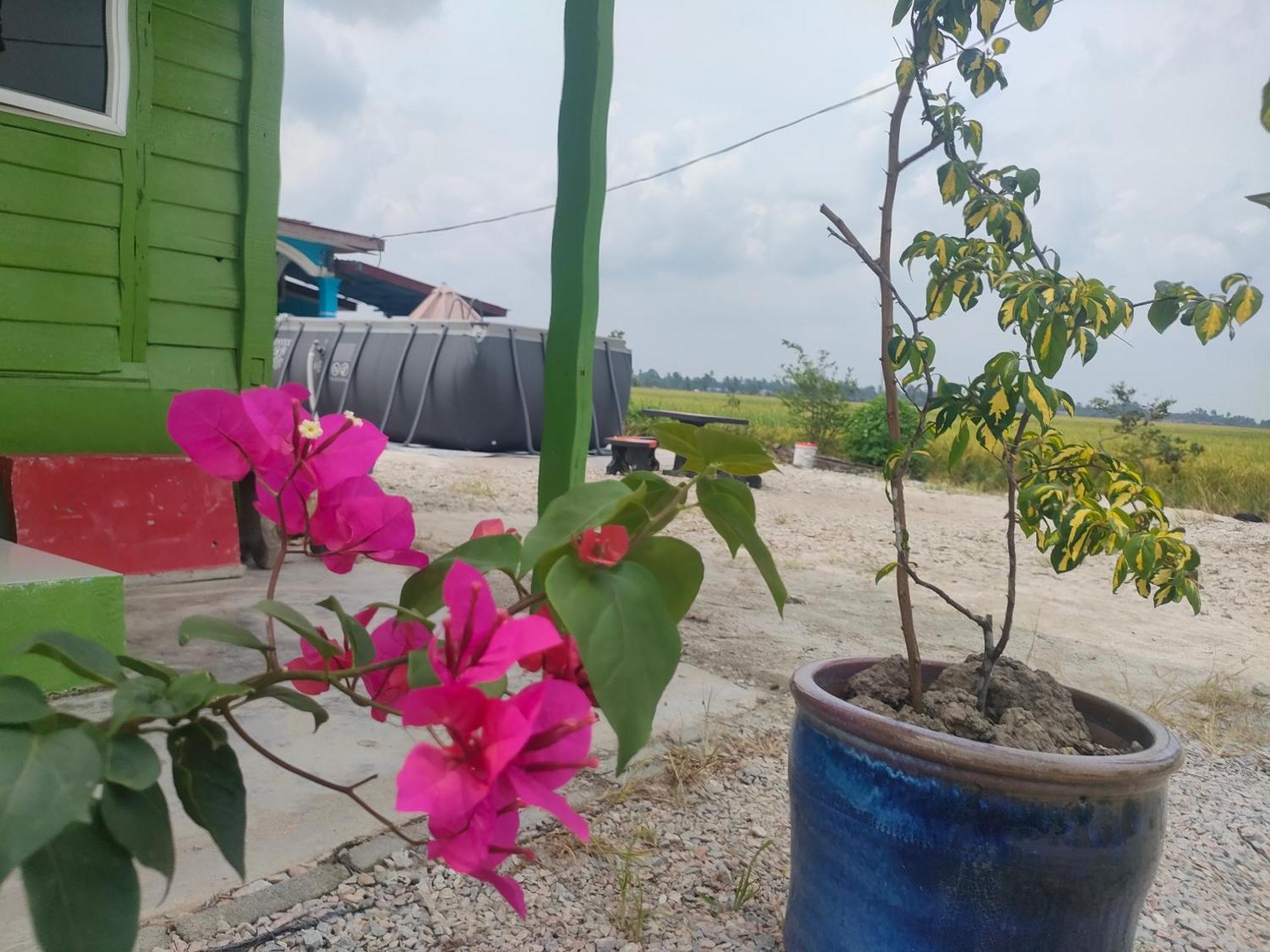 Izz Homestay Sawah Padi Sungai Besar ! Exterior photo